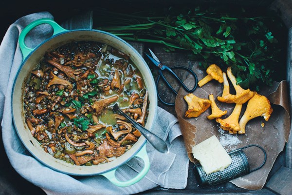 Chanterelle & lentil soup