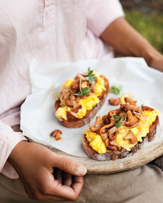 Chanterelle and egg sandwiches