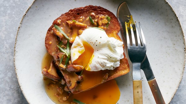 Chanterelle gravy with tarragon