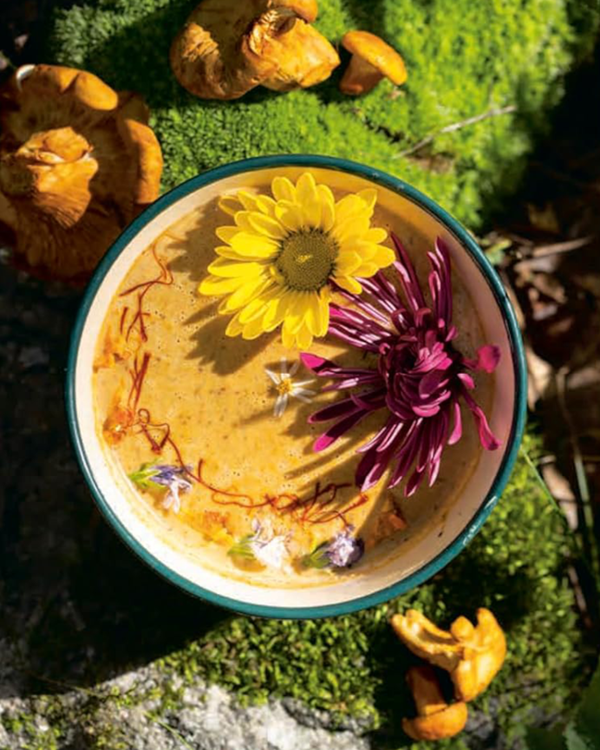 Chanterelle soup