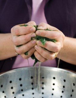 Chard and coconut soup