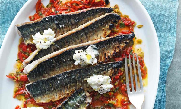 Chargrilled mackerel with sherry, piquillo peppers, cornichons and ricotta