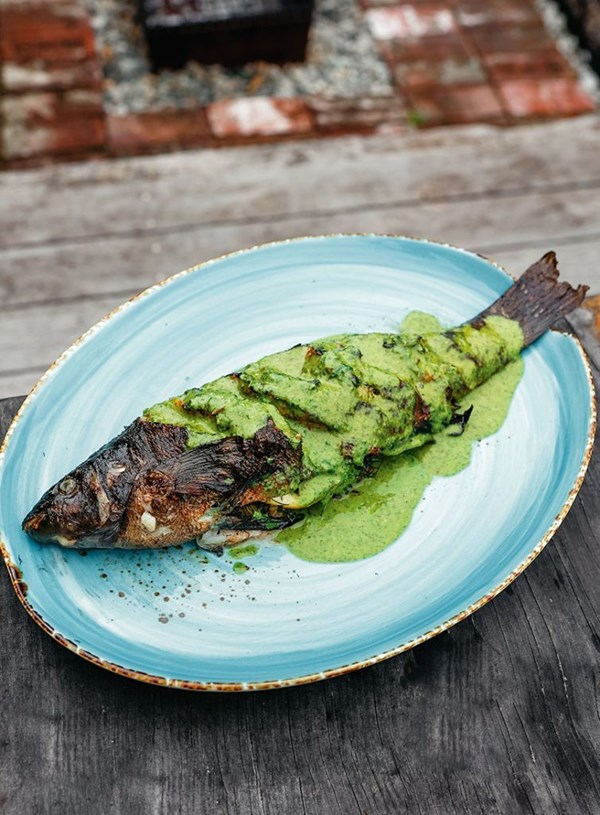 Charred butterfish with herb sauce