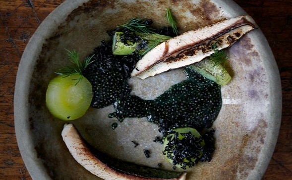 Charred mackerel, chia seeds, dill, wakame and cucumber
