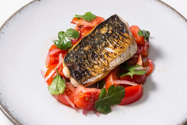 Charred mackerel with tomato ceviche