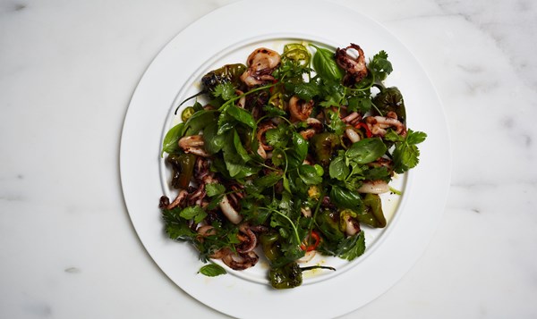Charred Padrón chiles and squid salad