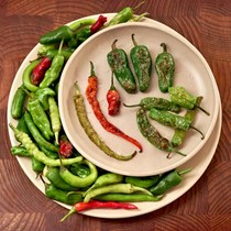 Charred pimentos de padrón peppers