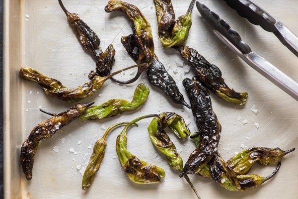Charred shishito peppers