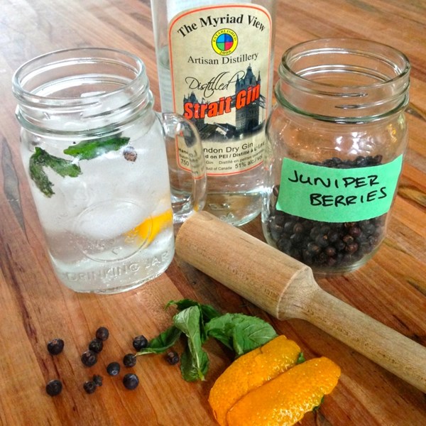 Chazz & tonic gin jar
