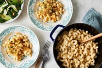 Cheddar and sour cream stovetop mac