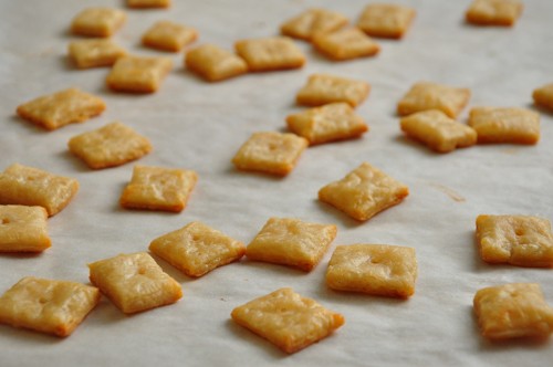 Cheesy squares