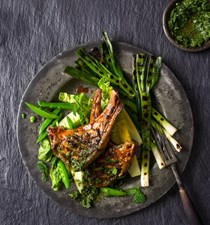 Chermoula lamb chops with herb sauce