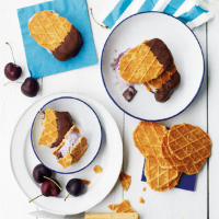 Cherry & chocolate chip semifreddo sandwich