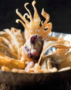 Cherry & yuzu gyoza