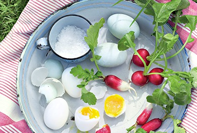 Cherry belle radishes and duck egg