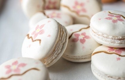 Cherry blossom macaron