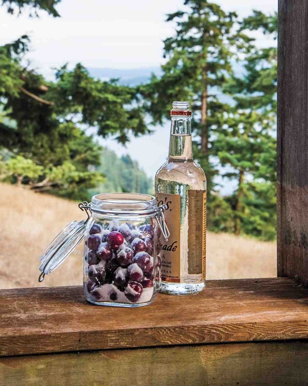Cherry plums in vodka