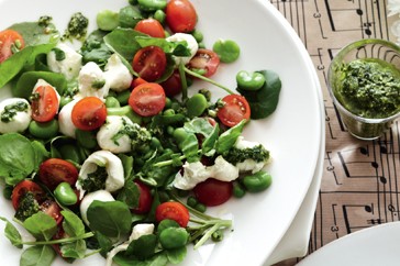 Cherry tomato, cress & broad bean salad