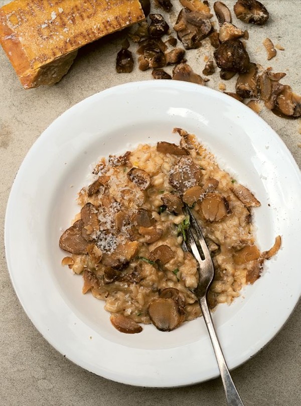 Chestnut and truffle risotto