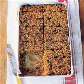 Chewy seedy oat and apricot bars