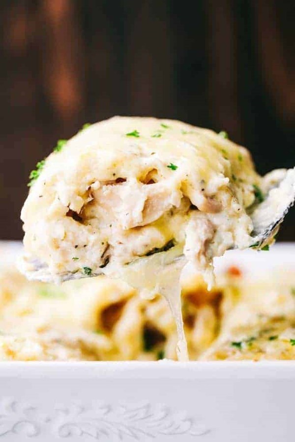 Chicken Alfredo roll-ups