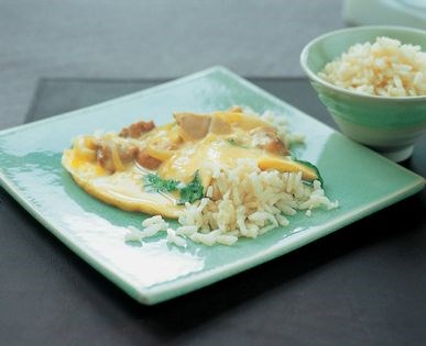 Chicken and egg on rice (Oyako fon)