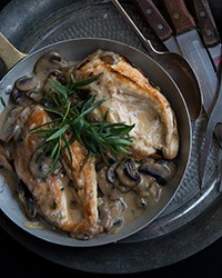 Chicken-and-mushroom fricassee