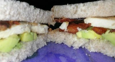 Chicken avocado club sandwiches