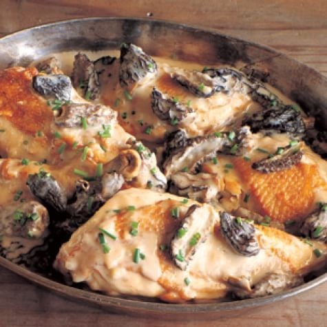 Chicken fricassee with mushrooms & thyme