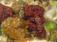 Chicken in fermented bean curd sauce (Furu ji / 腐乳雞)