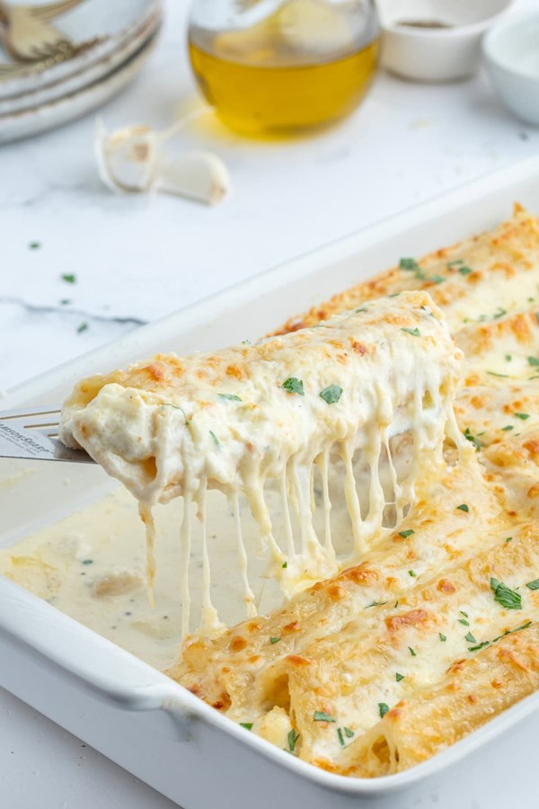 Chicken manicotti Alfredo