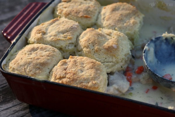 Chicken 'n biscuits (chicken pie)