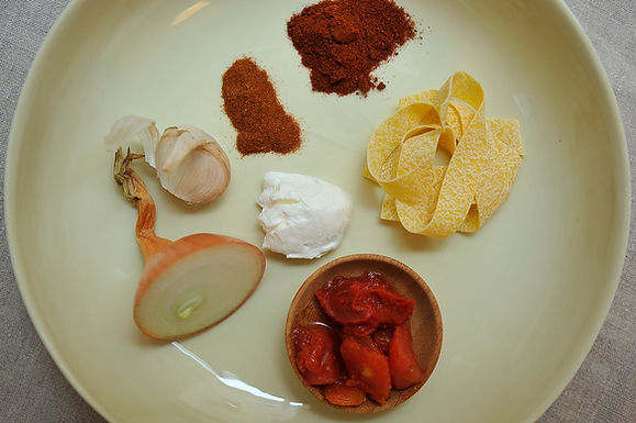 Chicken paprikash (Hungarian comfort food)
