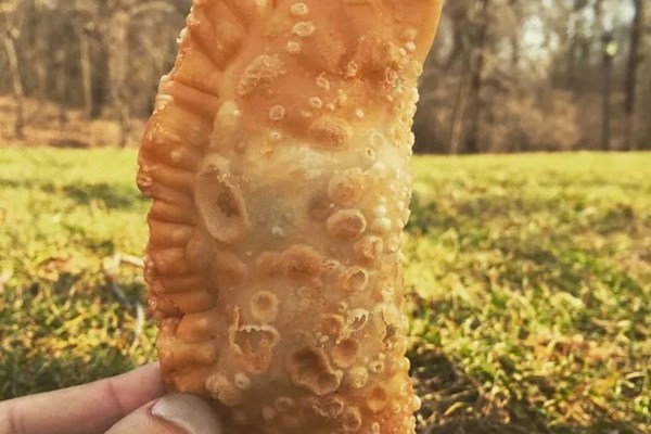 Chicken pot pie empanadas