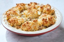 Chicken potpie with apples and cheddar biscuits 