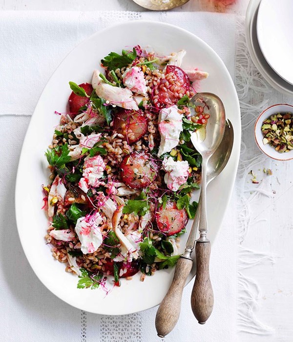 Chicken, roasted plum, labne and grain salad