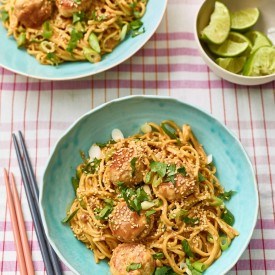 Chicken satay balls