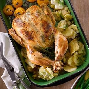 Chicken with creamy dill & leek sauce