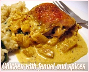 Chicken with fennel, spices and cream