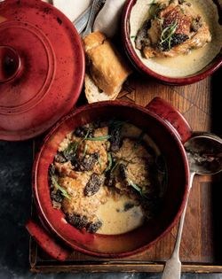 Chicken with morels and sherry [Britt Bunyard]