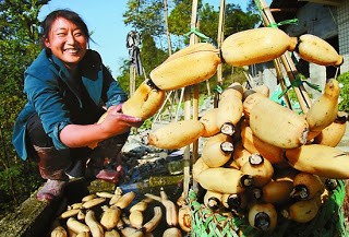 Chicken with walnuts and lotus root (Jiàngbào táorén jīdīng / 醬爆桃仁雞丁)