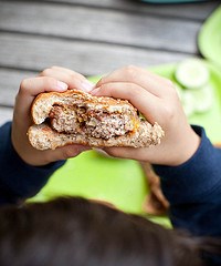 Chicken/turkey/pork/lamb burgers