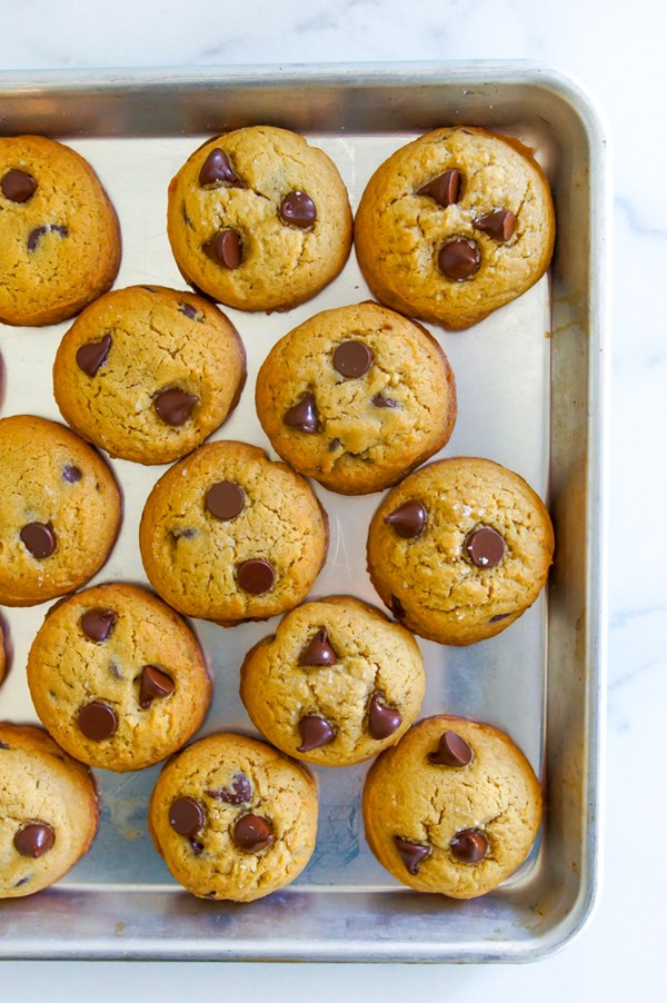 Chickpea flour chocolate chip cookies