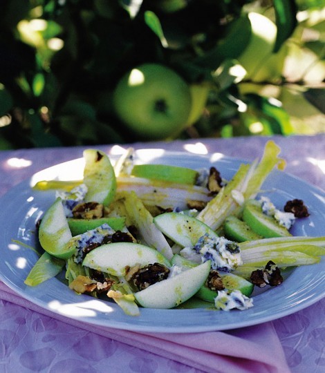 Chicory and apple salad