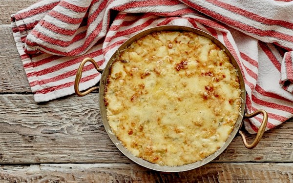 Chicory gratin