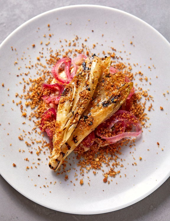Chicory with mixed pulses and grains