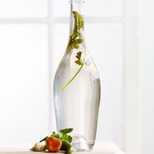 Chile, cilantro & garlic vinegar
