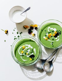 Chilled cucumber soup