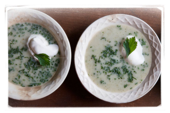 Chilled potato and celery soup