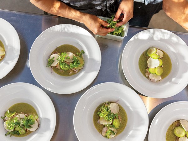 Chilled shrimp and scallops in spicy tomatillo sauce